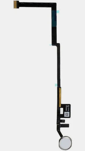 iPad 5/6th Home Button